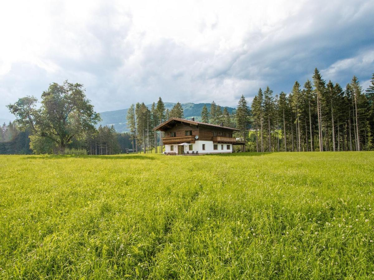 Chalet Freiblick Kleinhaid, Hollersbach Холлерсбах  Экстерьер фото