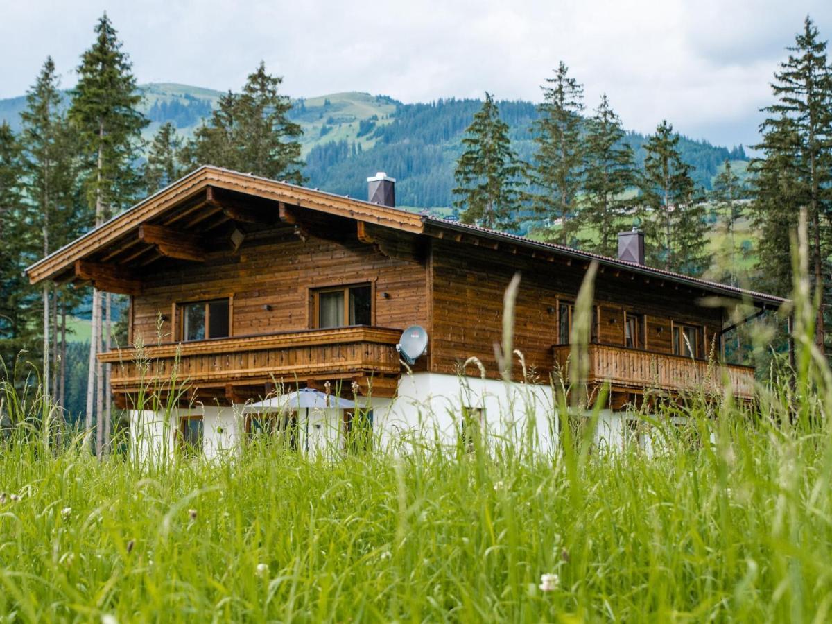 Chalet Freiblick Kleinhaid, Hollersbach Холлерсбах  Экстерьер фото