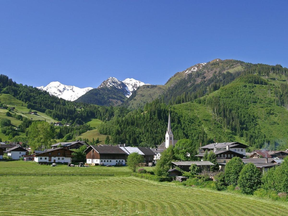 Chalet Freiblick Kleinhaid, Hollersbach Холлерсбах  Экстерьер фото
