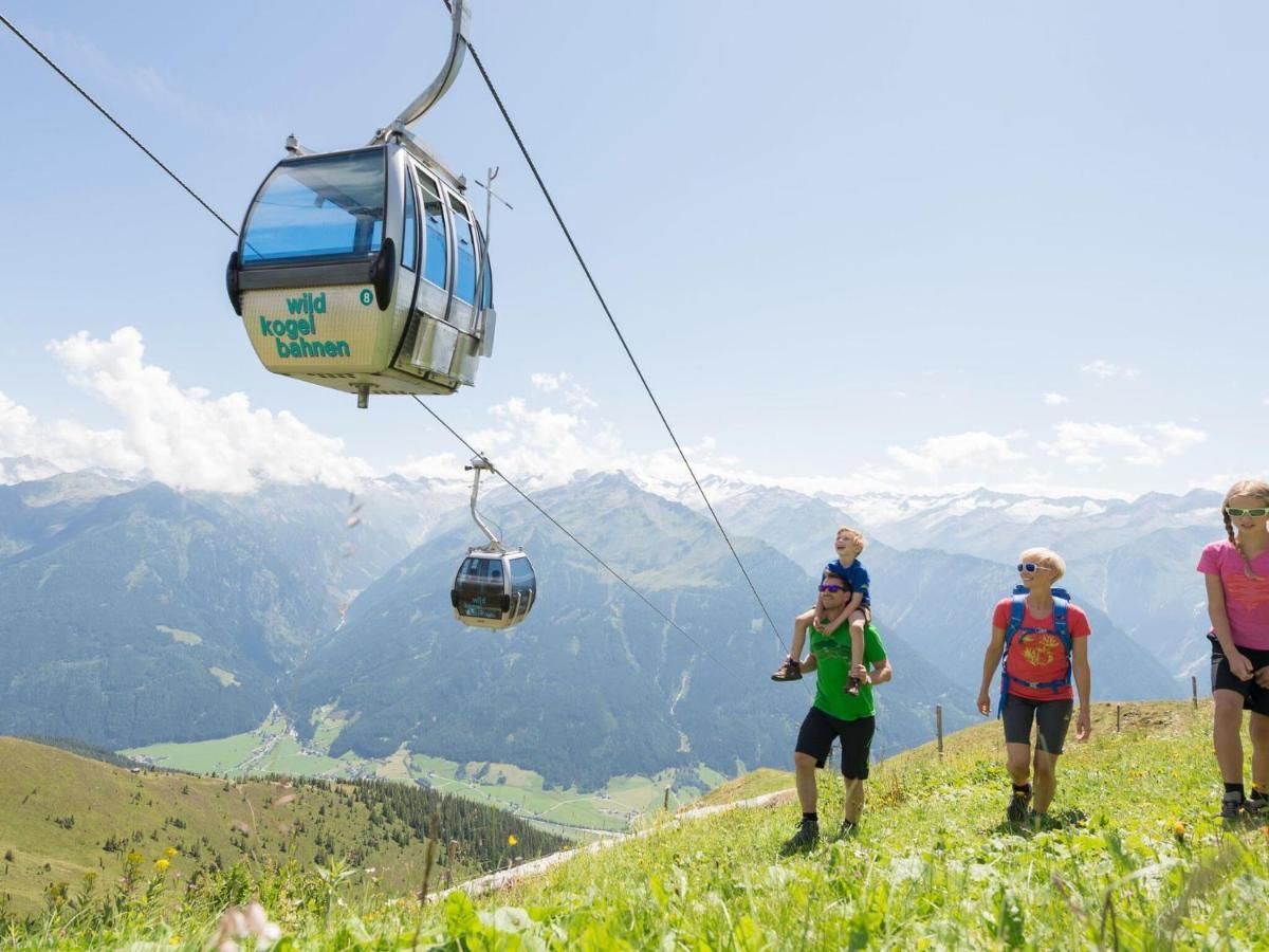 Chalet Freiblick Kleinhaid, Hollersbach Холлерсбах  Экстерьер фото
