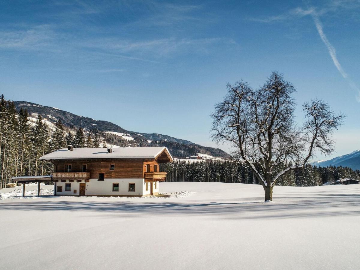 Chalet Freiblick Kleinhaid, Hollersbach Холлерсбах  Экстерьер фото