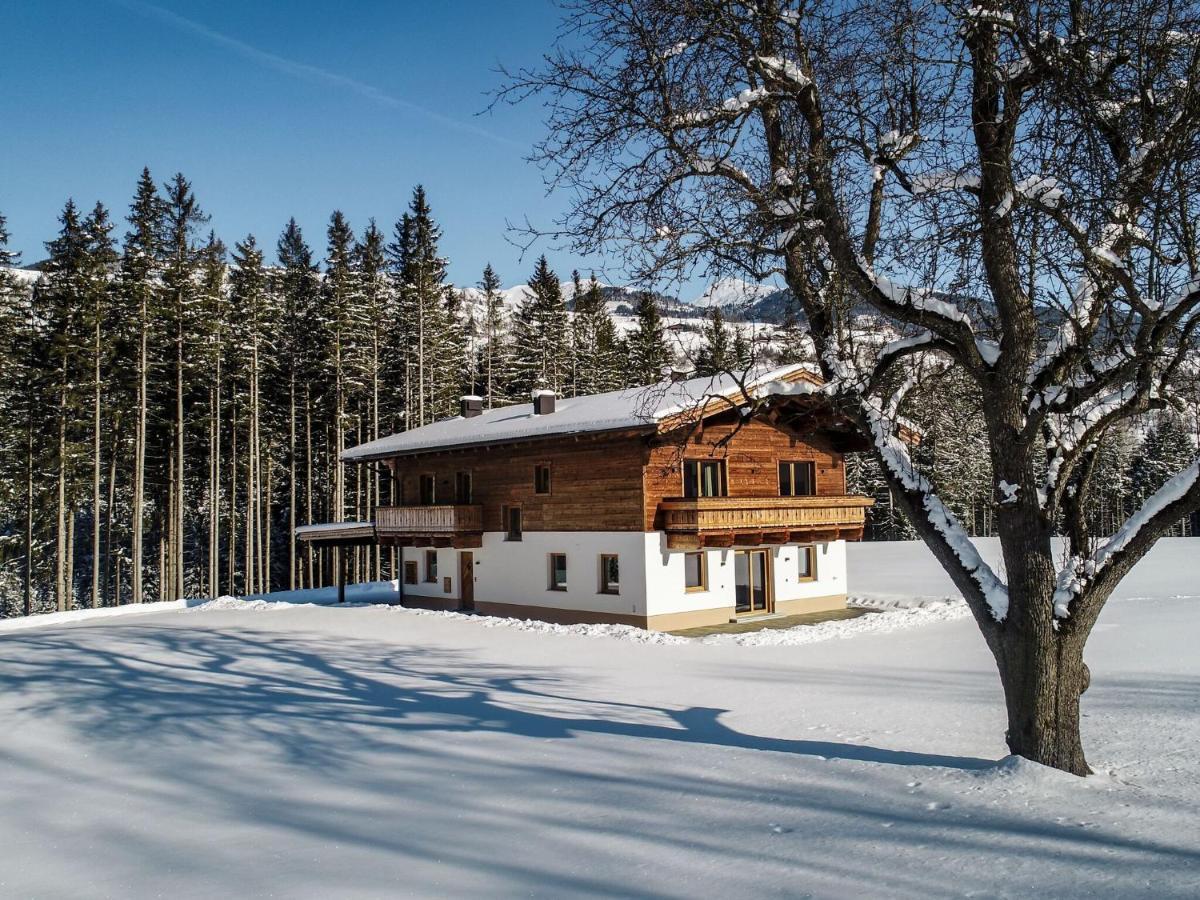 Chalet Freiblick Kleinhaid, Hollersbach Холлерсбах  Экстерьер фото